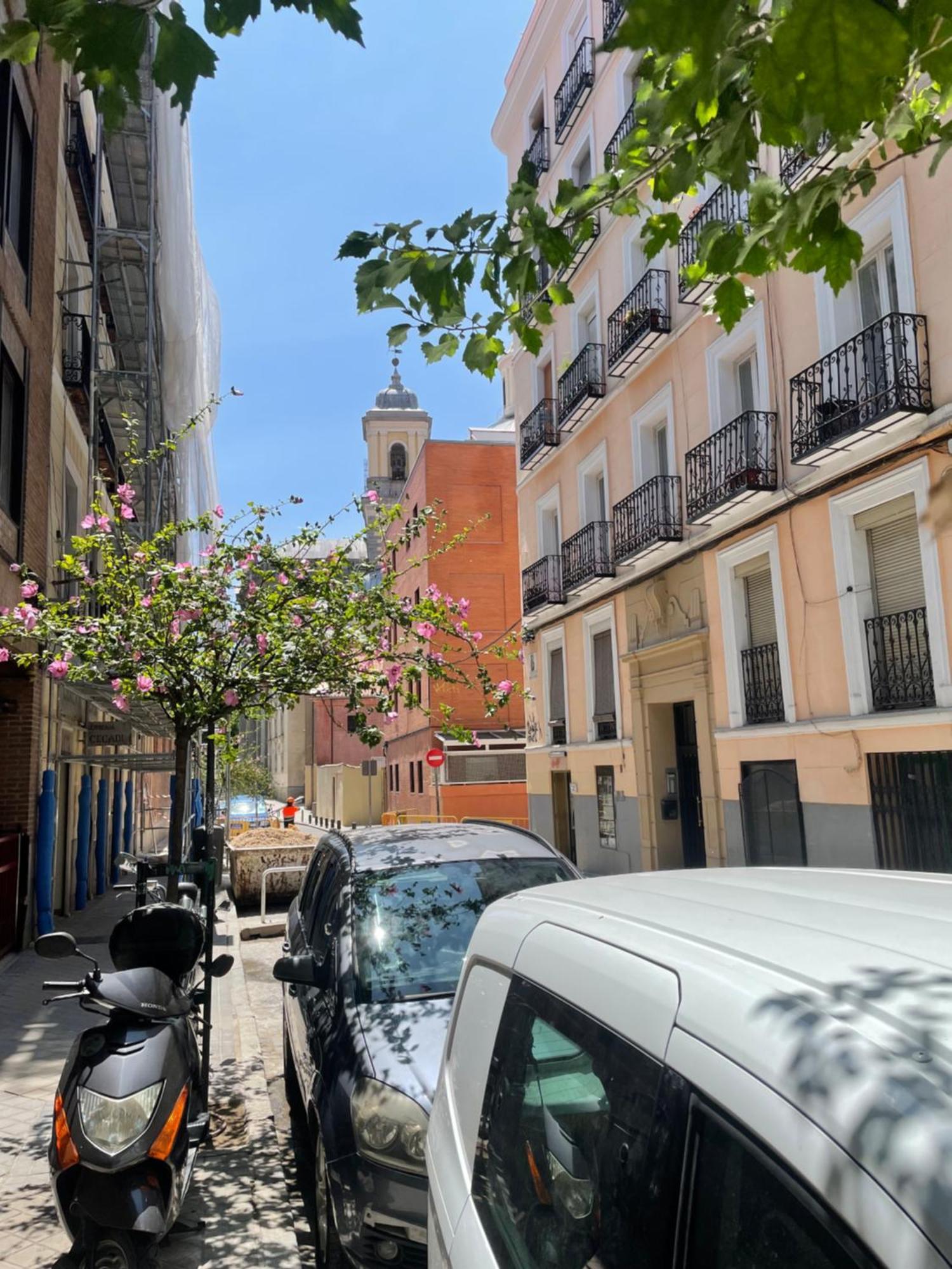 Apartmán San Buenaventura Vistillas Apartamento Para Dos Madrid Exteriér fotografie